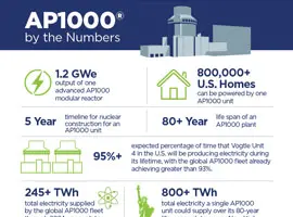 AP1000 By the Numbers