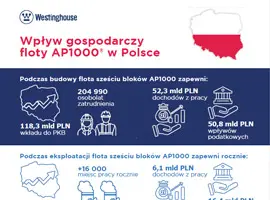 Wpływ gospodarczy (Polski)