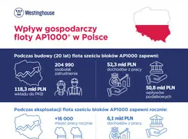 Wpływ gospodarczy (Polski)