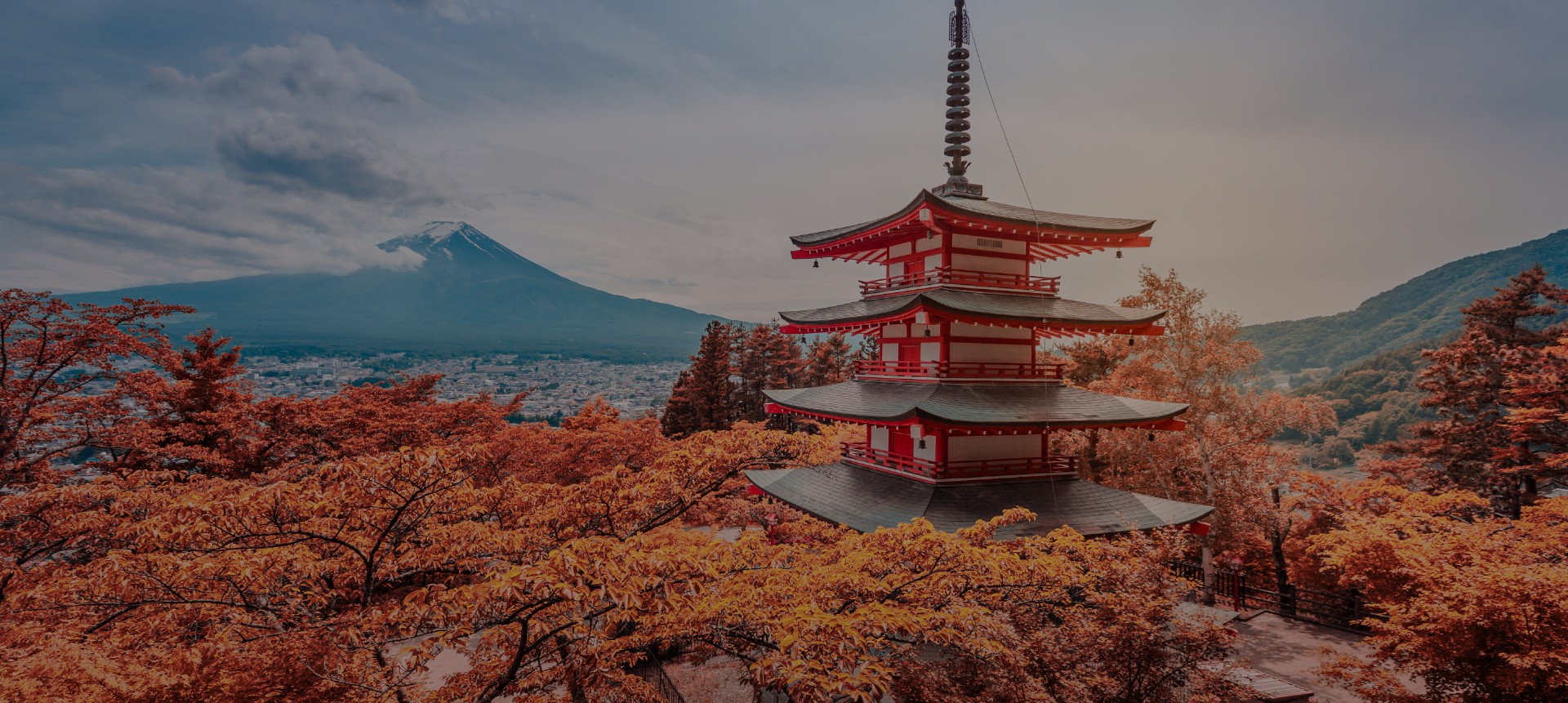 Westinghouse 日本 / Japan | Westinghouse
