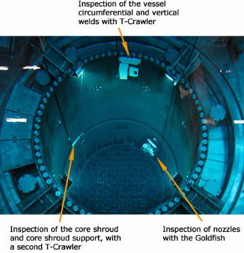 Inspection of BWR reactor