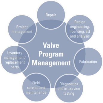 Valve Program Management