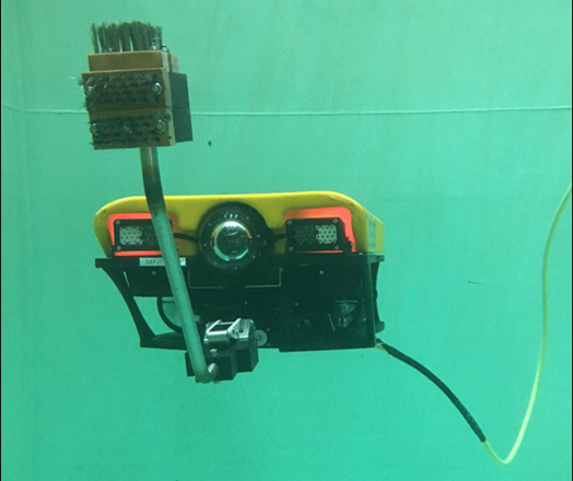 rov