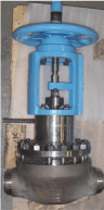 Westinghouse gate valve